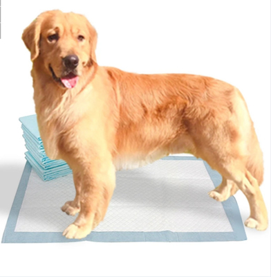 Extra- große Bambus- Ausbildungsauflagen Wegwerf-Pee Pads For Dogs